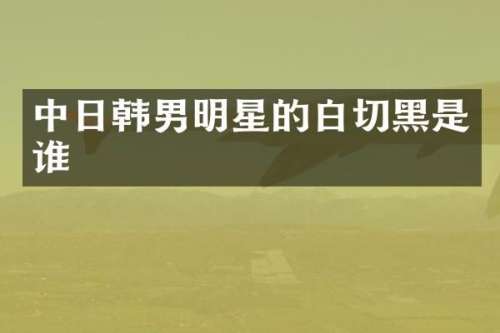 中日韩男明星的白切黑是谁