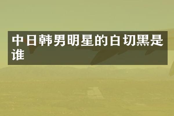 中日韩男明星的白切黑是谁