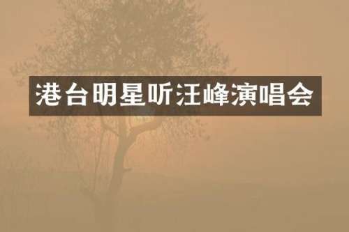 港台明星听汪峰演唱会