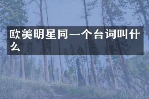欧美明星同一个台词叫什么