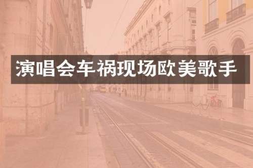 演唱会车祸现场欧美歌手