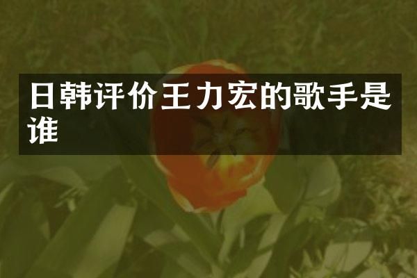 日韩评价王力宏的歌手是谁