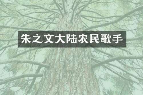 朱之文大陆农民歌手