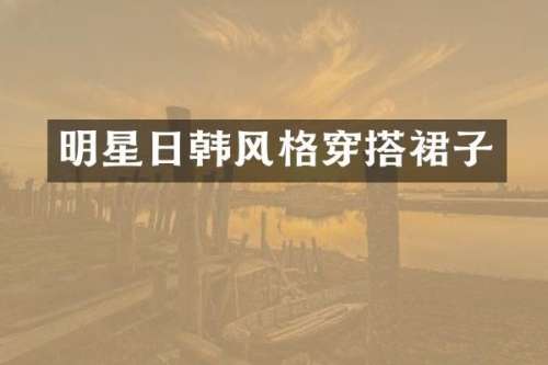 明星日韩风格穿搭裙子