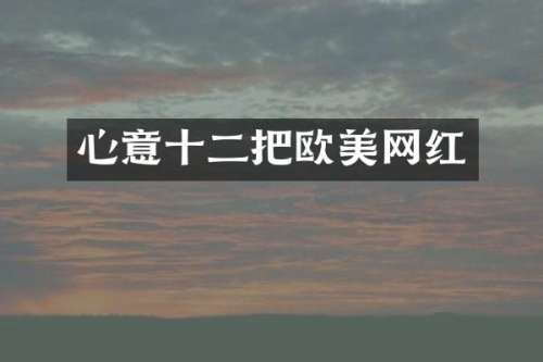 心意十二把欧美网红