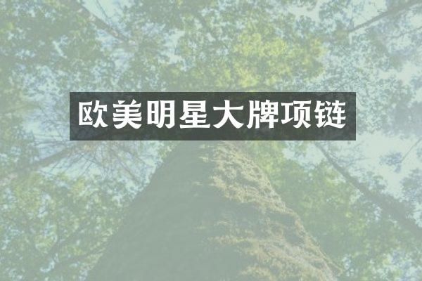欧美明星大牌项链