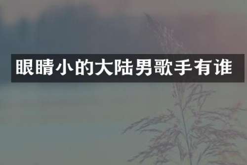 眼睛小的大陆男歌手有谁