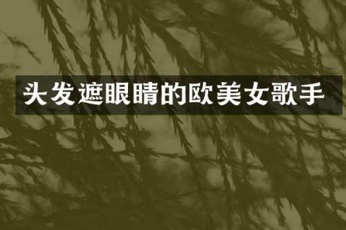 头发遮眼睛的欧歌手