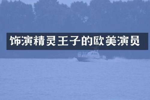 饰演精灵王子的欧美演员