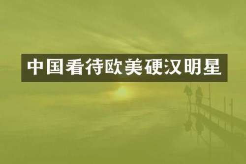 中国看待欧美硬汉明星
