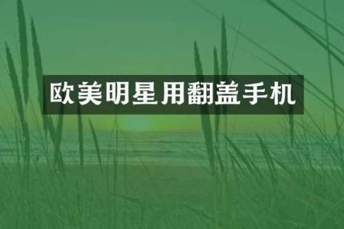 欧美明星用翻盖手机