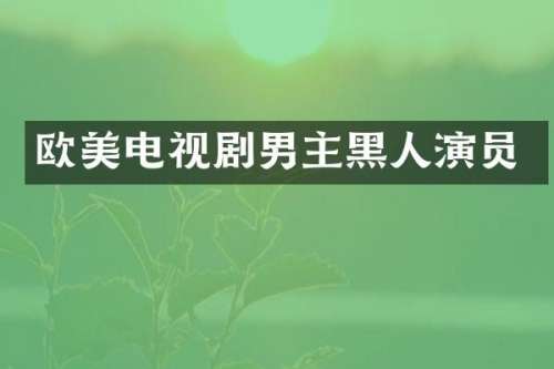 欧美电视剧男主黑人演员