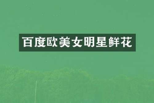 百度欧明星鲜花