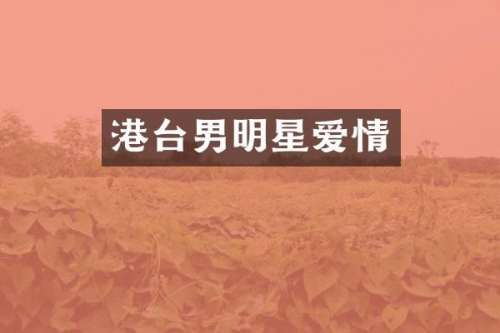 港台男明星爱情