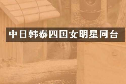 中日韩泰四国女明星同台