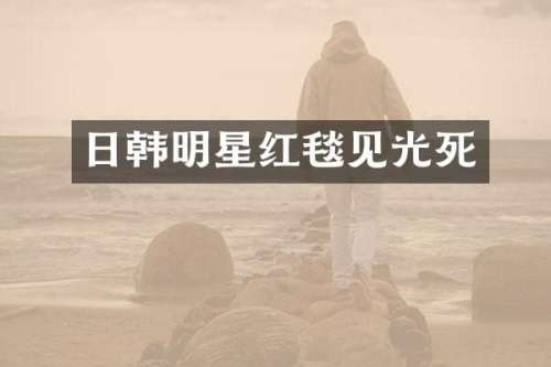 日韩明星红毯见光死