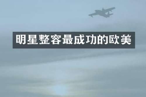 明星整容最成功的欧美