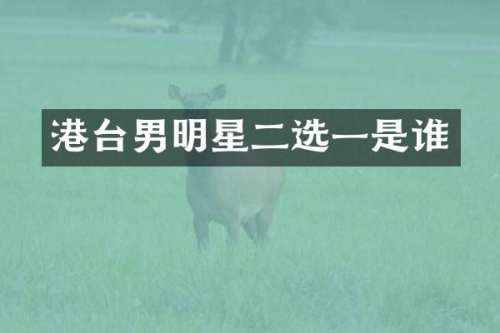 港台男明星二选一是谁