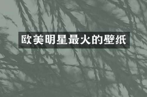 欧美明星最火的壁纸