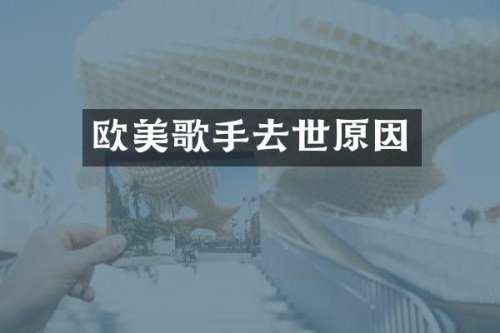 欧美歌手去世原因