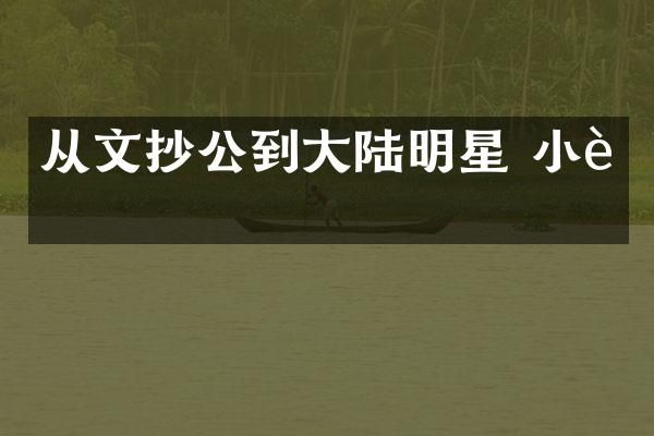从文抄公到大陆明星 小说