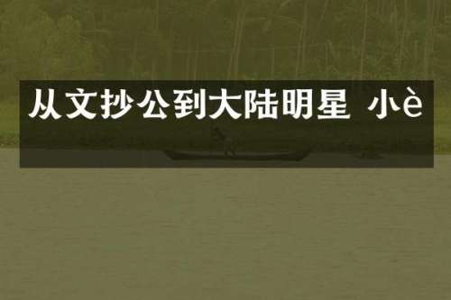 从文抄公到大陆明星 小说