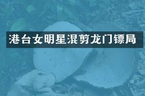 港台女明星混剪龙门镖局