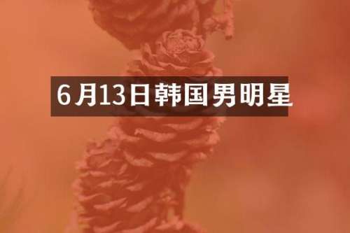 6月13日韩国男明星