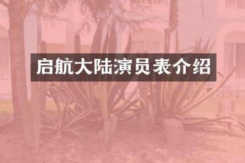 启航大陆演员表介绍