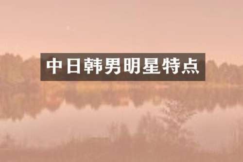 中日韩男明星特点