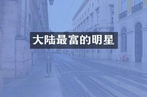 大陆最富的明星
