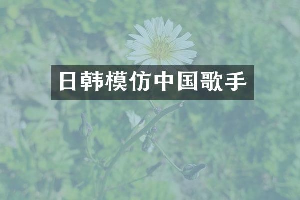日韩模仿中国歌手