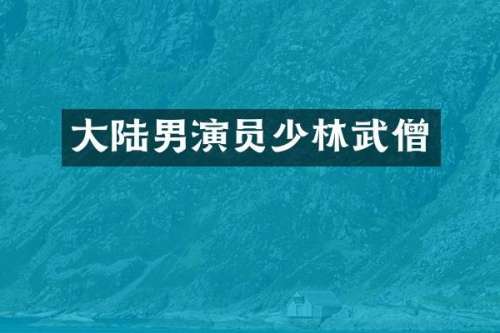 大陆男演员少林武僧