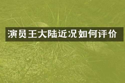 演员王大陆近况如何评价