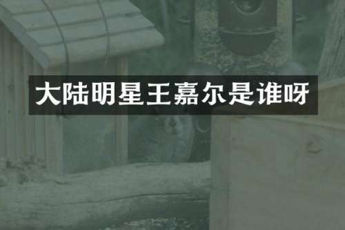 大陆明星王嘉尔是谁呀