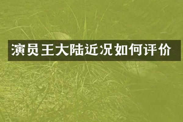 演员王大陆近况如何评价