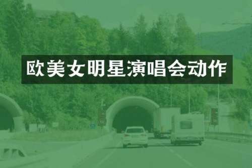 欧明星演唱会动作