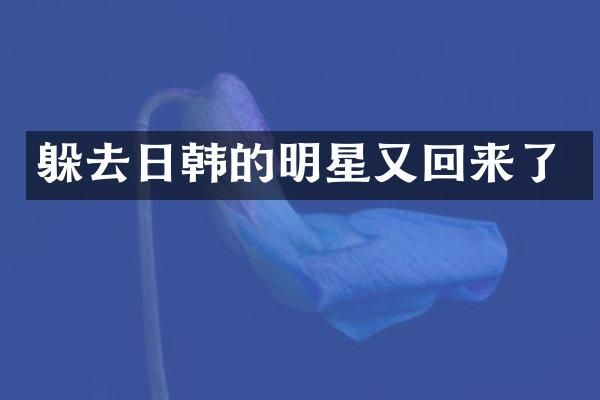 躲去日韩的明星又回来了
