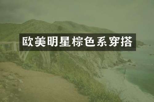欧美明星棕色系穿搭