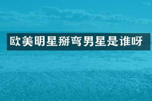 欧美明星掰弯男星是谁呀