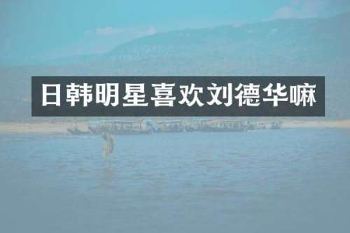 日韩明星喜欢刘德华嘛
