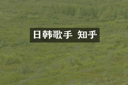 日韩歌手 知乎