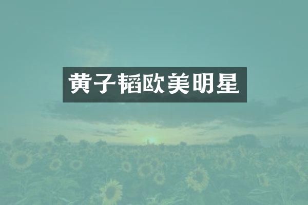 黄子韬欧美明星