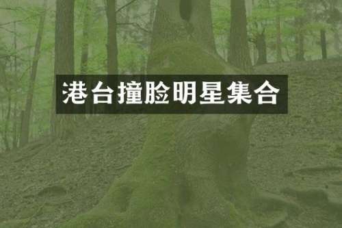 港台撞脸明星集合