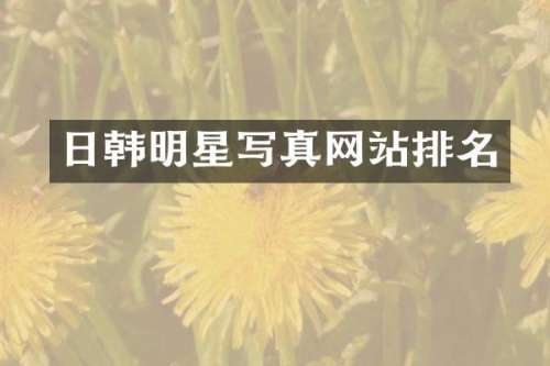 日韩明星写真网站排名
