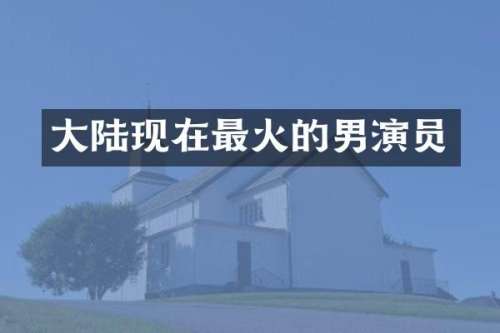 大陆现在最火的男演员