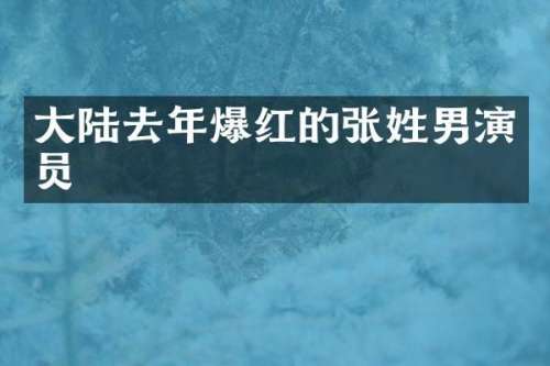 大陆去年爆红的张姓男演员