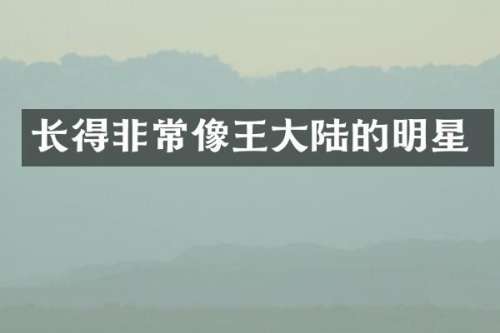 长得非常像王大陆的明星