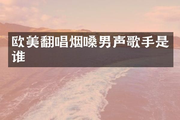 欧美翻唱烟嗓男声歌手是谁