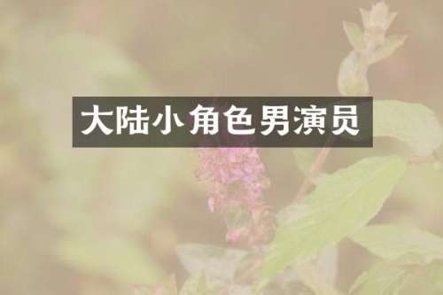 大陆小角色男演员